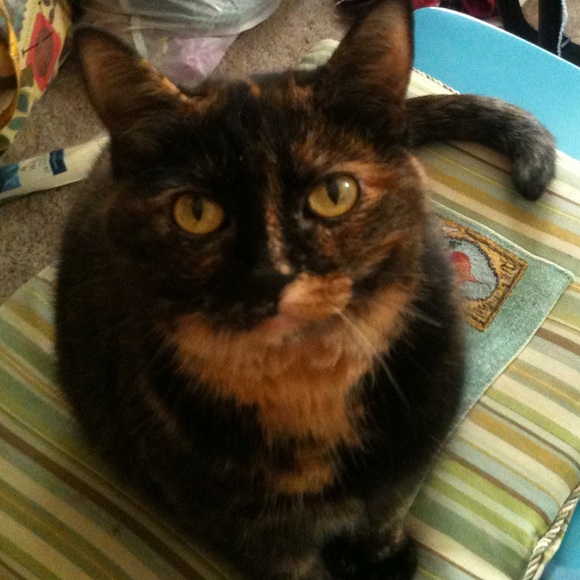 Meet your Posher, Jill - Picture 1 of 2